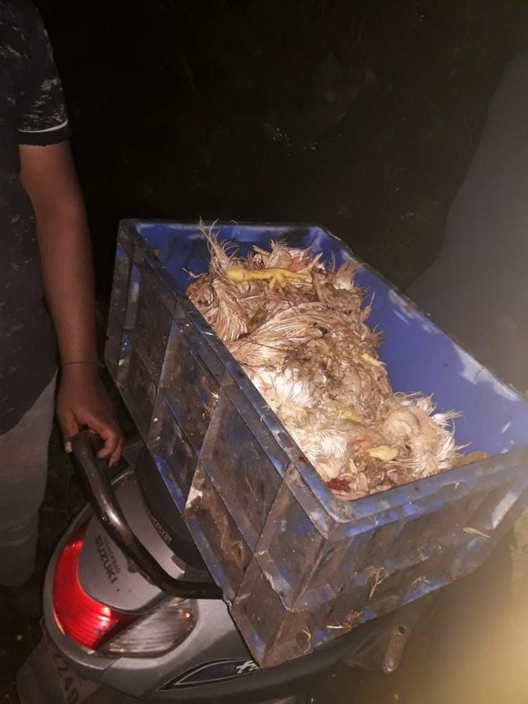 मटण-चिकन कचरा टाकल्याने धोक्याची घंटा