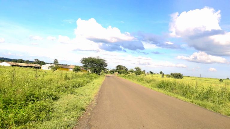 आता पावसाने उघडीप दिल्याने समाधान