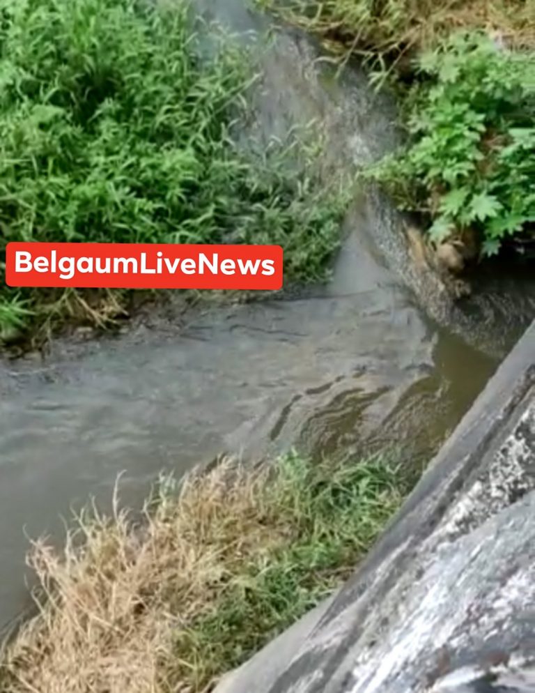 Youth farmer bellari nala