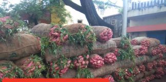 आवक वाढल्यामुळे घसरला रताळ्यांचा दर Ratali apmc bgm