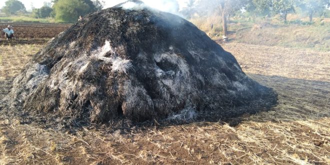 अज्ञातांनी गंजी पेटवून दिल्याने 40 पोती बासमती भात भस्मसात