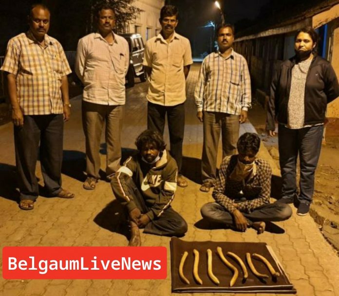 USER_SCOPED_TEMP_DATA_orca-image-1604845963558_6731211844335180301