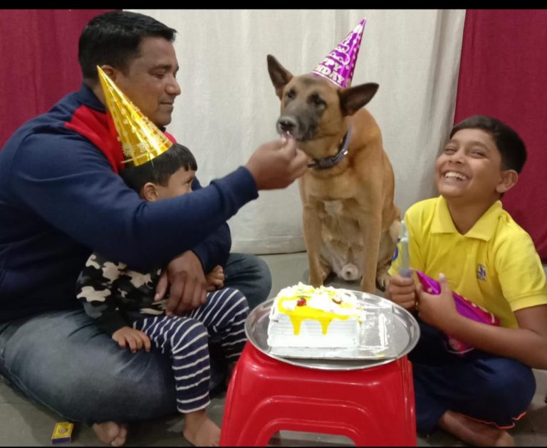 Dog birth day