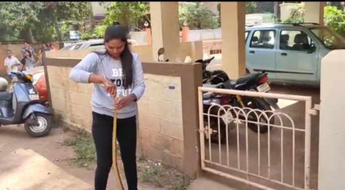 Snake friend Snake friend