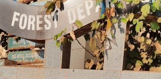 Forest dept