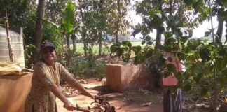 विविधता, नाविन्य, परिश्रम या त्रिसूत्रीने यश गाठलेल्या महिला उद्योजिका Asha naik