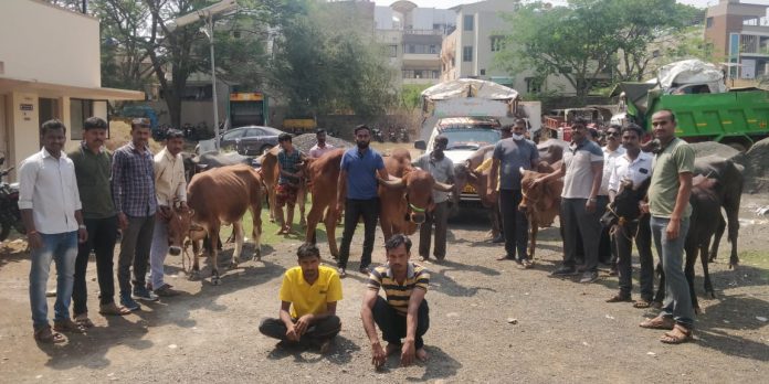 Animal thives Animal thives