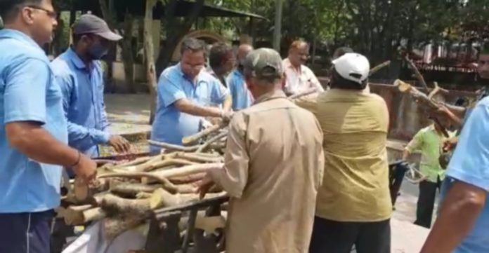 Funeral giants Funeral giants