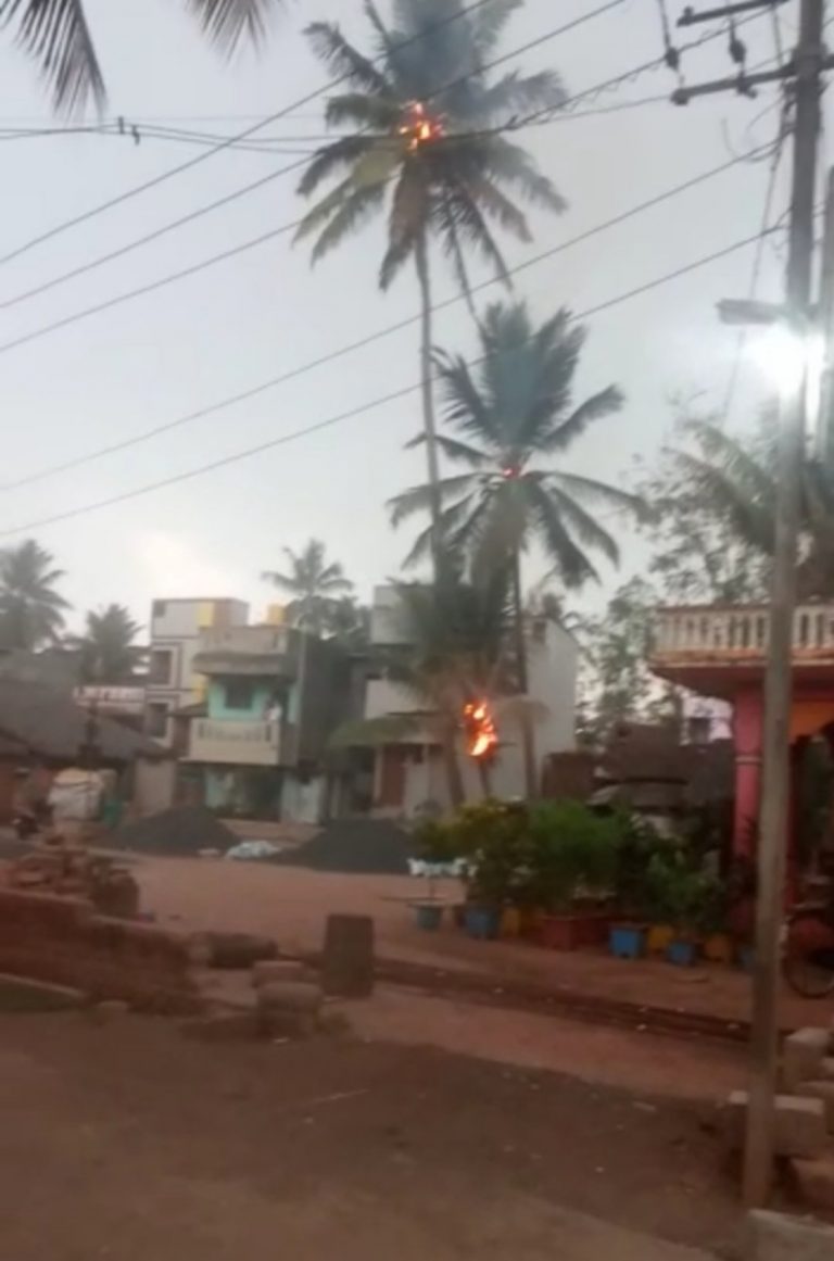 वीज कोसळून नारळाच्या झाडांना आग