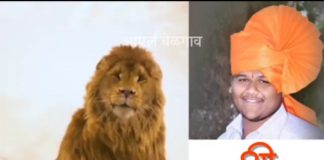 सोशल मीडियावर सिंहाचा धुमाकूळ! Shubham lion