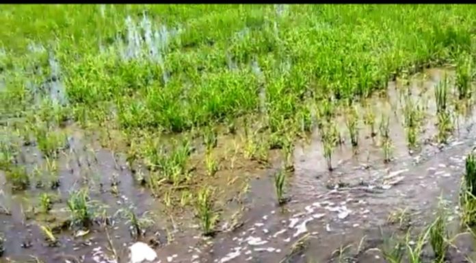 Drainage water Drainage water