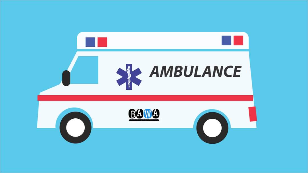 Ambulance