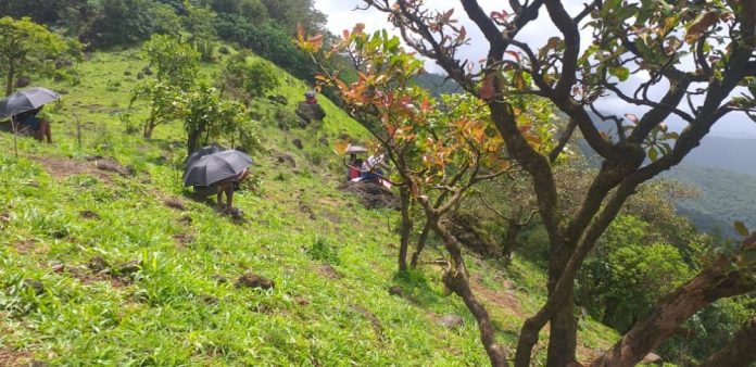 Online study on hill