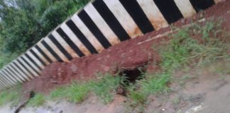 भगदाडासह चर पडल्याने ‘हा’ पूल बनला आहे धोकादायक Badas pool