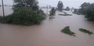 बळ्ळारी नाल्याची समस्या ‘पुढून पाठ.. मागून सपाट’ 23 july rain