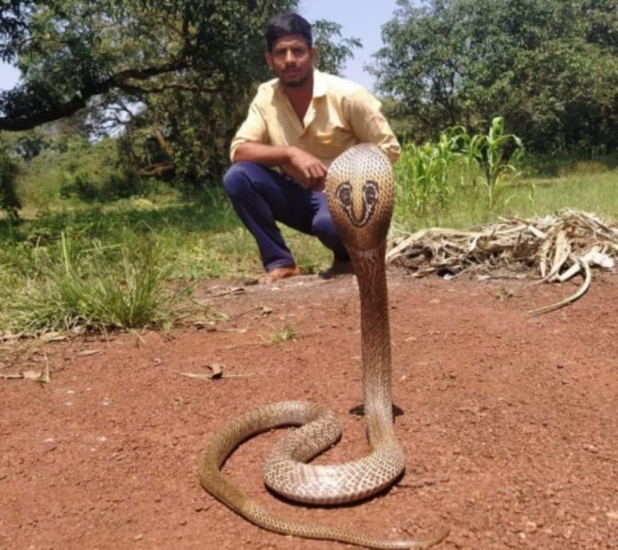 Snake friend Snake friend