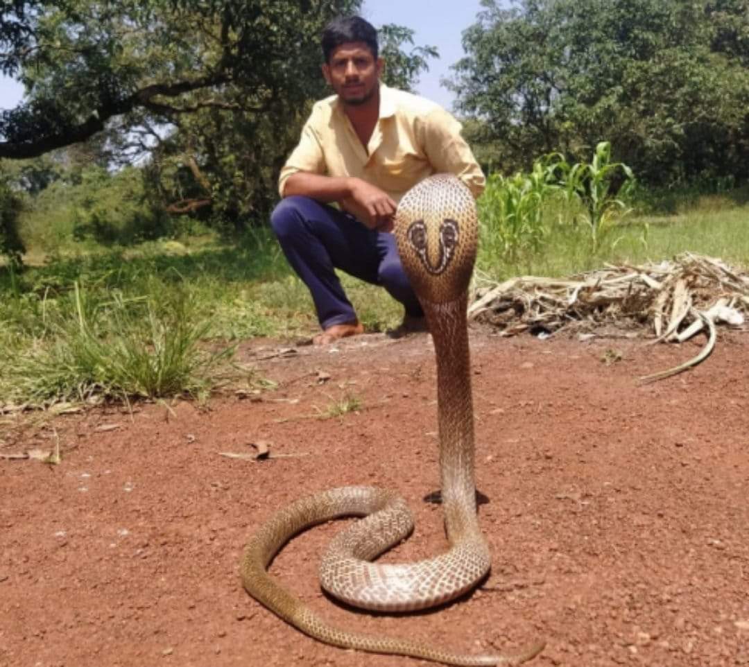 Snake friend