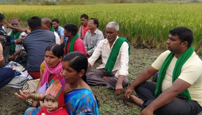 Farmer prot Farmer prot