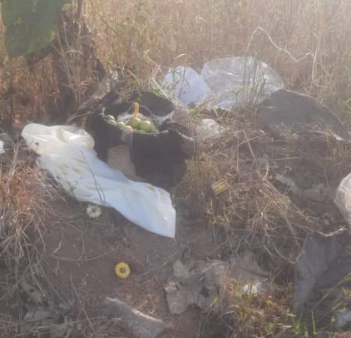 Singinkopp Singinkopp