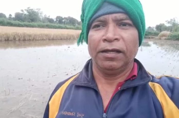 Raju marve Raju marve