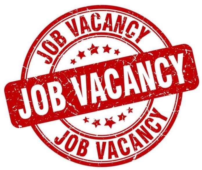 Job vacansy