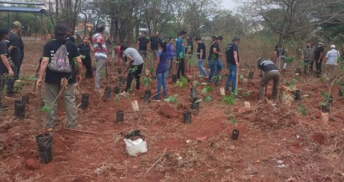 Cementary tree plantation