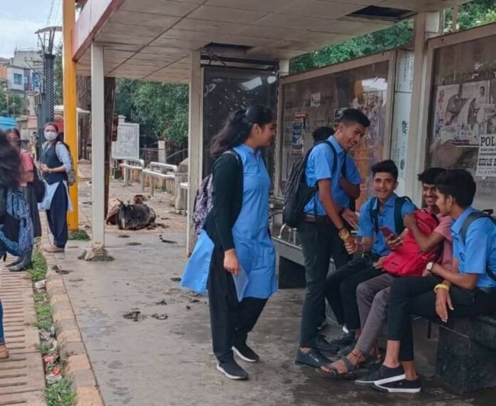 Stry animals Stry animals