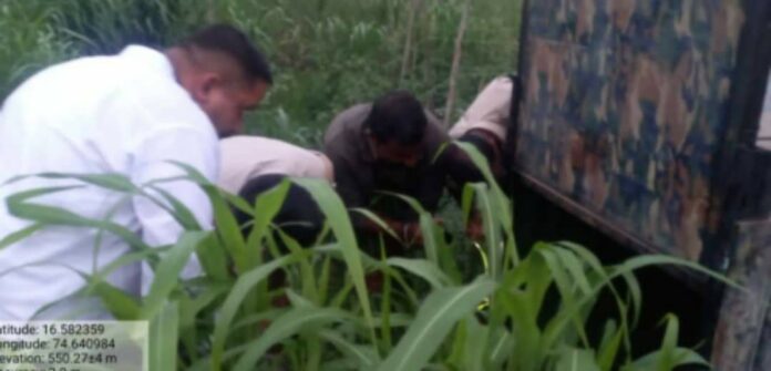 Fisher man Fisher man