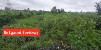 बळ्ळारी नाला?? नव्हे ओढा….! Bellari nala