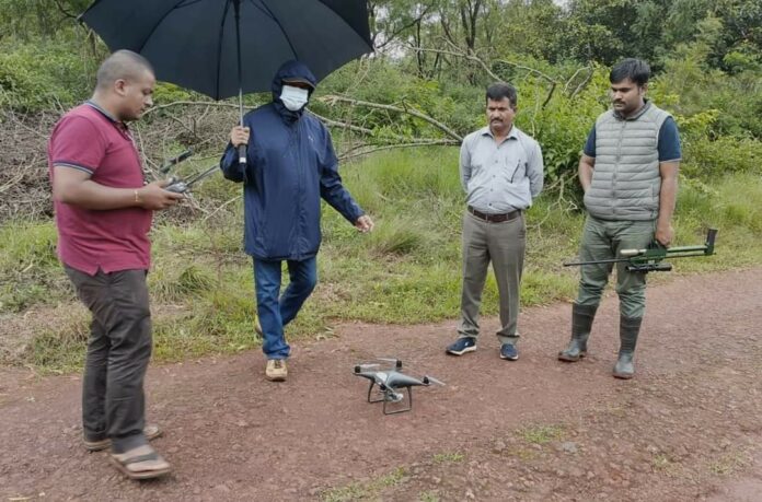 Drone cam forest Drone cam forest