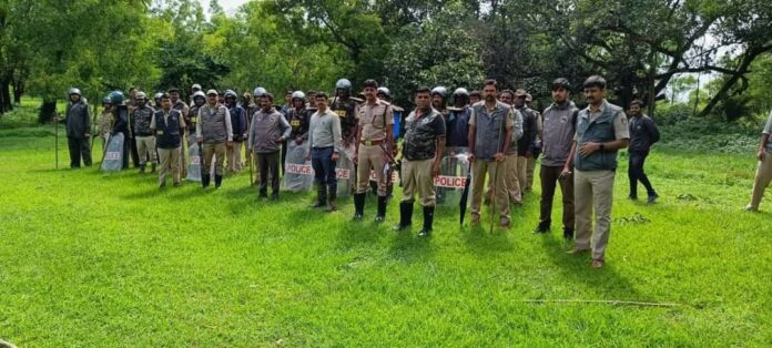 Forest leapord team Forest leapord team