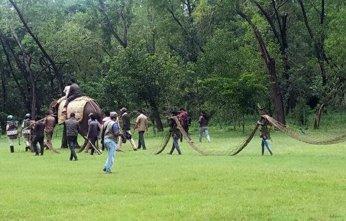 Race course Race course