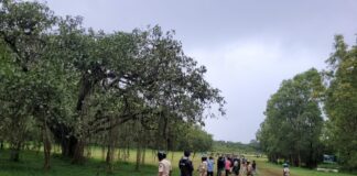 मिशन बिबट्यासाठी….पोलीस वन खात्याची मोठी मोहीम Leapord mohim