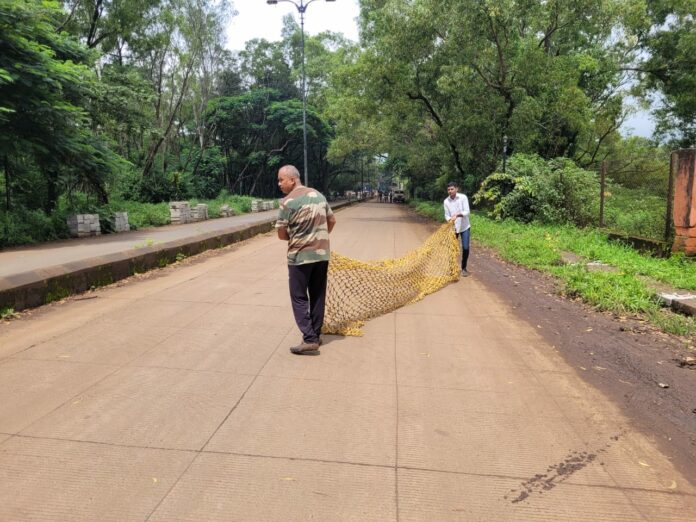 WhatsApp Image 2022-08-22 at 12.44.06 PM