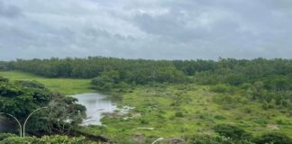 ‘बिबट्या’ची दहशत! पुन्हा त्या शाळांना शनिवारीही सुट्टी! Golf course