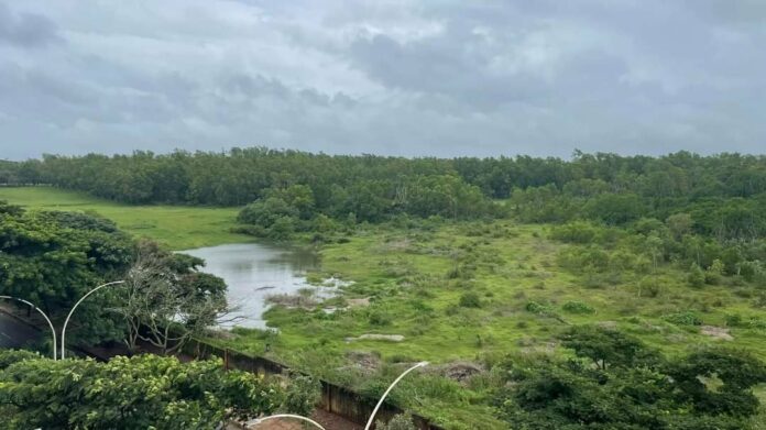 Golf course Golf course