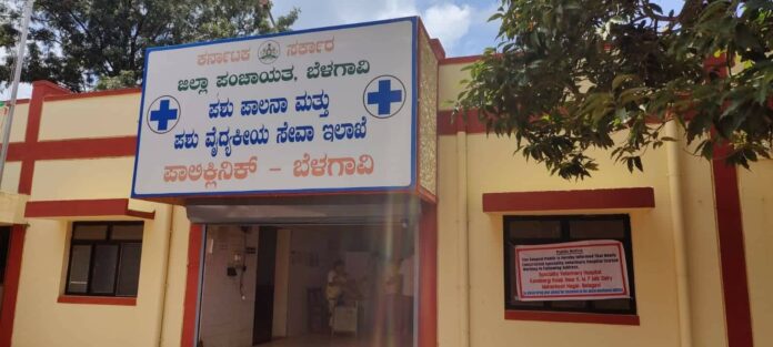 Animal hospital Animal hospital