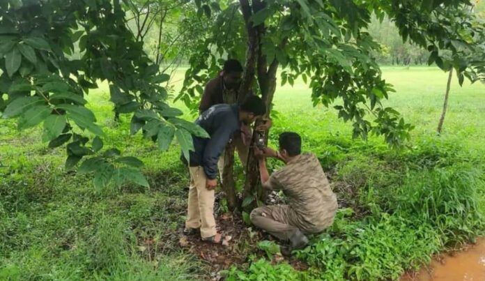 Golf course Golf course