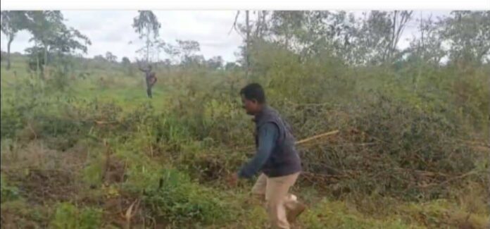 Leapord search race course Leapord search race course