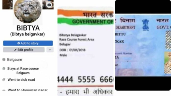 Leapord id Leapord id