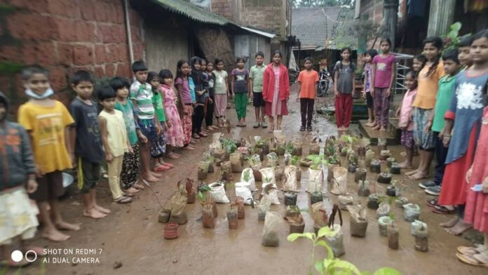 received_379736384178493 Organic farm