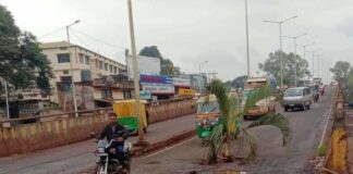गांधीगिरी… ब्रिजच्या रस्त्यावरील खड्ड्यात लावले नारळाचे झाड Tree plant pathholes