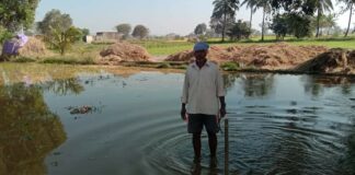 मुख्य जलवाहिनी फुटून शेतपिकं पाण्याखाली; लाखो रुपयांचे नुकसान Crop loss