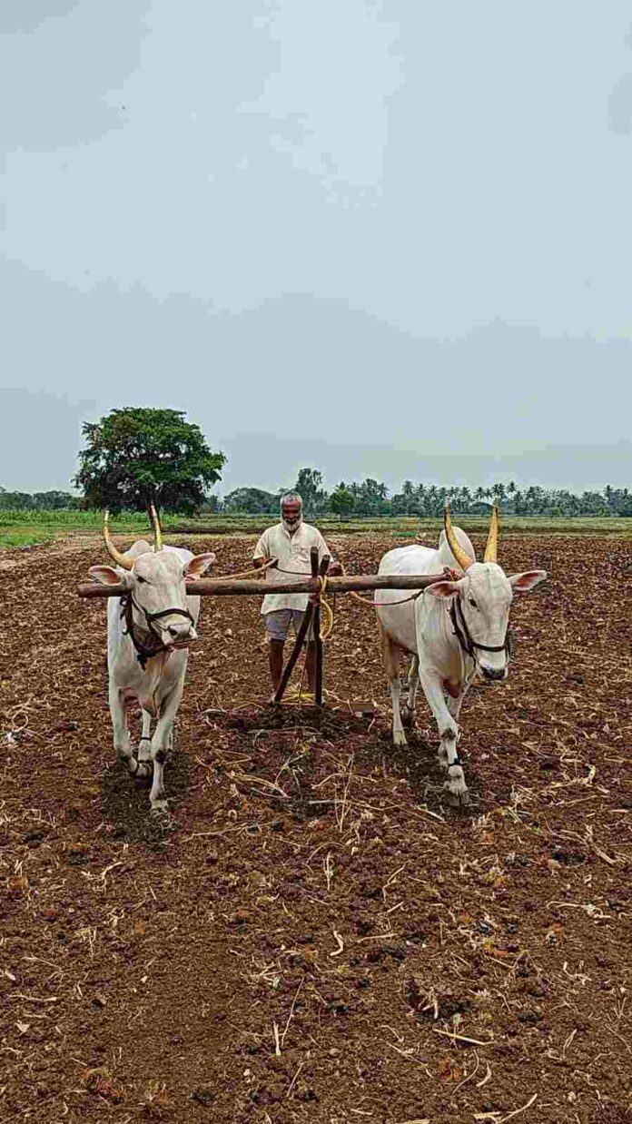 Farmer ramakant Farmer ramakant