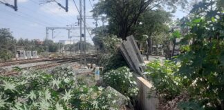 दुर्घटना टाळण्यासाठी रेल्वेने ‘याकडे’ लक्ष देण्याची मागणी Railway problem