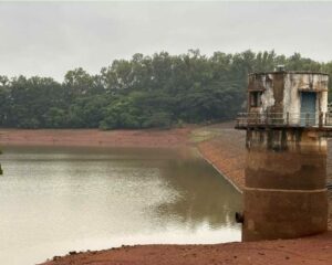 Rakaskopp dam dead stock