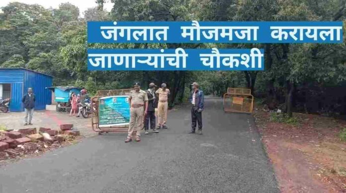 Forest. Case Forest. Case