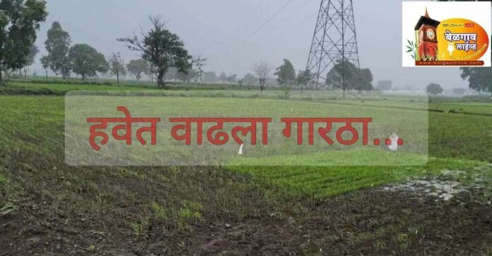 Rain coldness Rain coldness