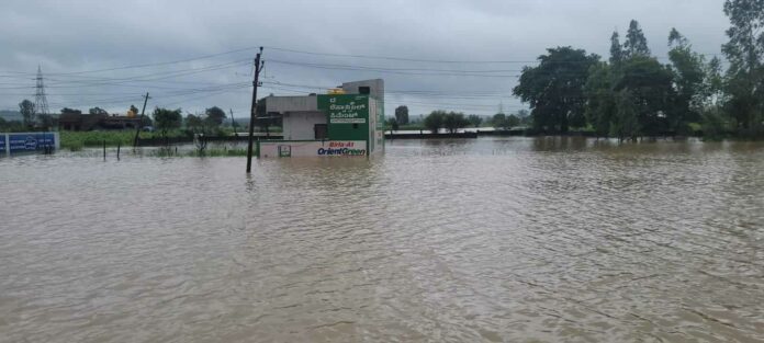 Crop loss halga bellari