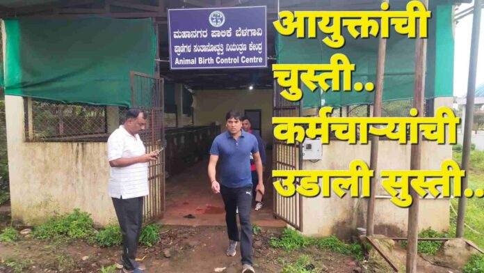 City corporation commissinor